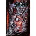 Curse of Spawn (Vol 1) # 013 NM MODERN AGE COMICS