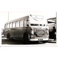 Black & White Photograph of Southern Vectis Omn...