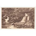Glen Lyn Lynmouth Devon Postcard 8238