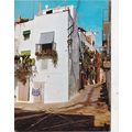 Persicola Calle Tipica Spain Postcard used corn...