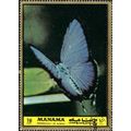 MANAMA, BUTTERFLY, Banded Royal, Tajuria jalindra, green-black 1972, 1.50Riyal