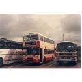 Colour Photograph of Greater Manchester Buses L...
