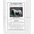 Straffan Station Stud Ireland ROI HERODE Horse ...