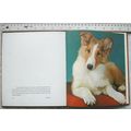 1962 Puppies in Colour by Jane Buckland
