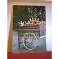 A GYPSY KNIFE GRINDING BARROW unused postcard H...