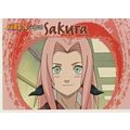 PANINI SHONEN JUMP NARUTO SECRET WEAPONS PROMO P-T