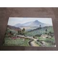 1950s Postcard - Farm in Irish Mountains / Eire...