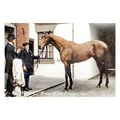 ptc9696 - Yorks - "Swynford" the 1910 St. Leger...