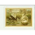 Advertising HUNTLEY & PALMER'S Biscuits Postcar...