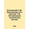 G.M. Ostrovsky, N.N. Ziyatdinova, T.V. Lapteva Optimization of technical system