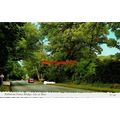 Ballalona Fairy Bridge, Isle Of Man, Valentines...