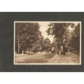 Postcard Hampshire Southampton The Avenue & Bus...