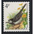 Belgium Pied wagtail Bird Buzin 'Bergeronette G...