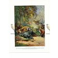 Tiger Threatened by Wild Dogs, Book Illustratio...