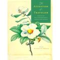 The Attention of a Traveller