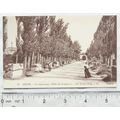 vintage postcard Arles - The Tombs Alley