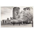 Cathedral from Cooper Park Elgin Postcard