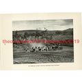 Donkey (Mule) Train, Outback, Australia, Book I...