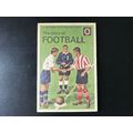 Wooden Postcard Company Ladybird Book The Story...