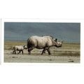 PLAYER'S GRANDEE CIGAR CARD AFRICAN WILDLIFE 19...