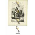 Andalusian Beggar & Daughter, Spain, Book Illus...