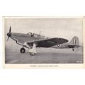 Fulmar Of The Fleet Air Arm Military Aircraft P...