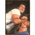 1994 Action Packed WWF I.R.S. #2