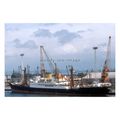 SL0735 - Elder Dempster Cargo Ship - Ebani - ph...