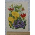 1939 Amateur Gardening illustration - Uncommon ...