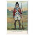 Royal North British Fusiliers 21st Regiment For...