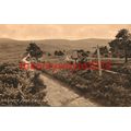 Webbers Post, Exmoor, Somerset, Friths Postcard