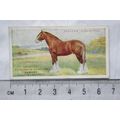 1916 Players British Livestock 11 The Clydesdale