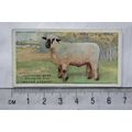 1916 Players British Livestock 20 The Hampshire...