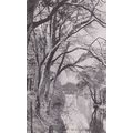 EC980 LOVERS WALK, ISLE OF MAN . PRINTED POSTCARD