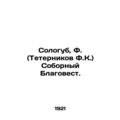 Sologub, F. (Teternnikov F.K.) Cathedral Blagov...
