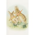 The Story Of A Fierce Bad Rabbit 1906 Beatrix P...