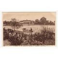 A Corner of the Recreation Ground Rowheath Bour...