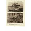 Coral Lagoons, Hawaii & Tahiti, Book Illustrati...