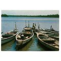 Postcard Gambia the pirogue keeper on river Bin...