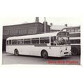 Bus Photo County Motors Lepton 103 Leyland Leop...