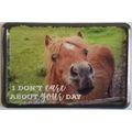 I Don't Care About Your Day Metal Fridge Magnet