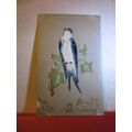 A VELVET BLUE BIRD, A HAPPY CHRISTMAS CARD, use...