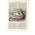 Tabor, Czech Republic, From Old Engraving, Book...