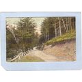 New York Binghamton Drive in Ross Park ny_box2~513