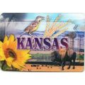 Kansas 3D Fridge Magnet