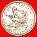 GREAT BRITAIN (1933-1965): NEW ZEALAND ★ SHILLI...