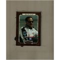 2010 Press Pass Legends Dale Earnhardt #10