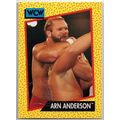 WCW ' ARN ANDERSON ' card # 53 (1991)