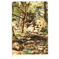 1950s postcard Becky Falls on Dartmoor