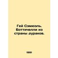 Gay Samuel. Botticelli from the Land of Fools. In Russian /Gey Semyuel. Bottich